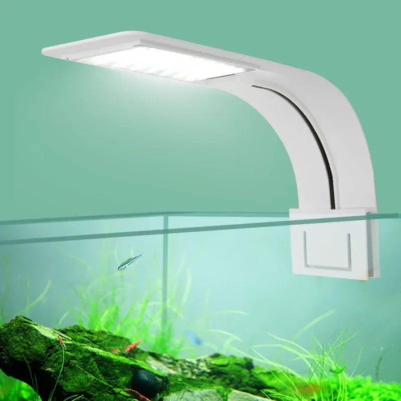 Fish In Aquarium Picture - Süper İnce LED Akvaryum Işık Aydınlatma