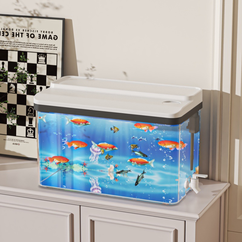 Aquarium Fish For Beginners - Küçük Masaüstü Betta Akvaryum Seti Cam