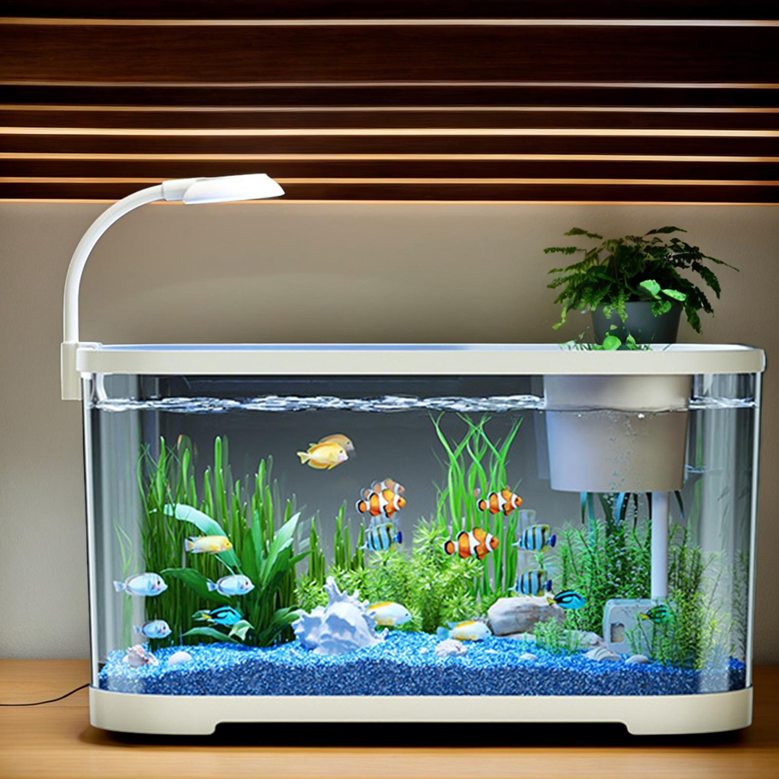 Aquarium Fish For Beginners - Akvaryum Kiti Başlangıç Betta Balık Tankı