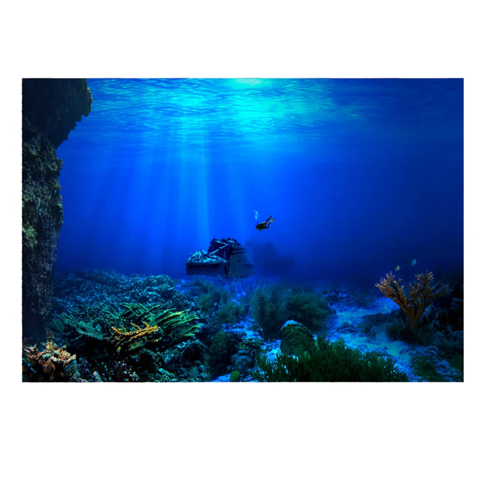 Aquarium Fish Of The World - Rainforest akvaryum arka plan posteri balık