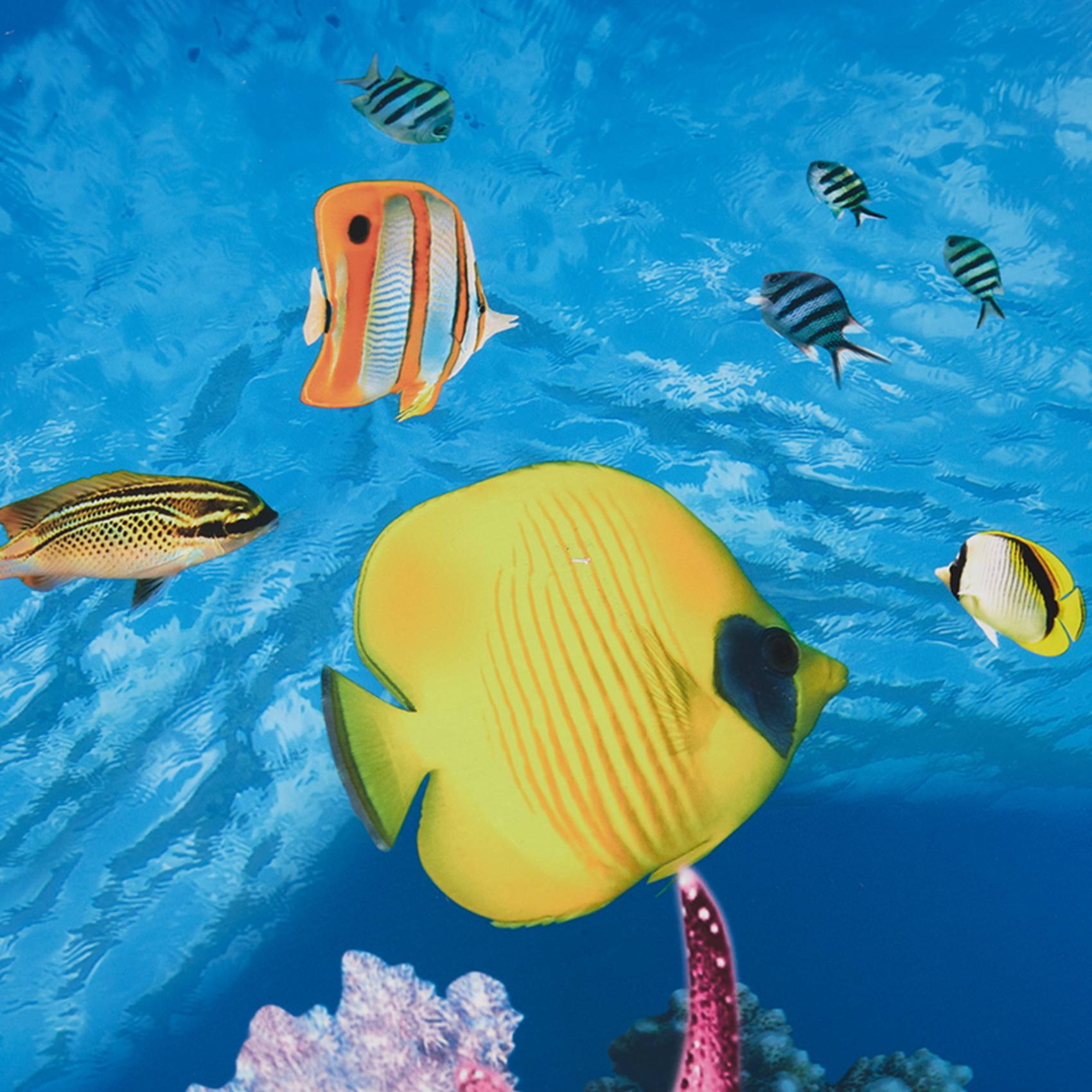 Fish In Aquarium Picture - BAAU Akvaryum Arka Plan Kağıdı HD