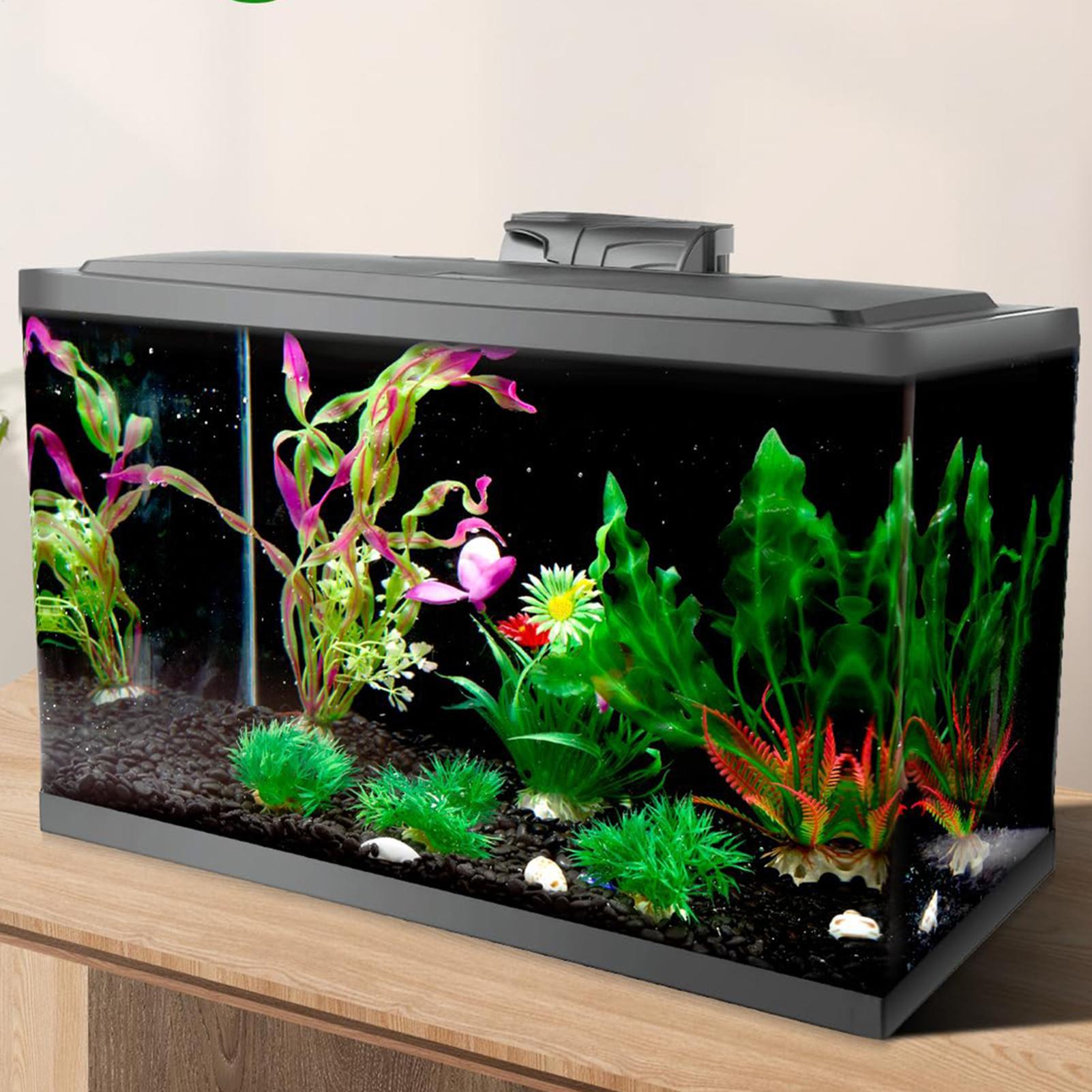 Fish In Aquarium Picture - Siyah Akvaryum Arka Plan Resmi Akvaryum