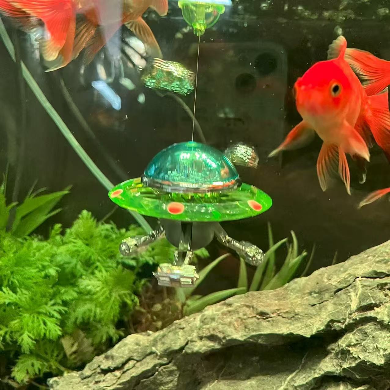 Aquarium Fish Of The World - Asılı UFO Akvaryum Heykeli World of
