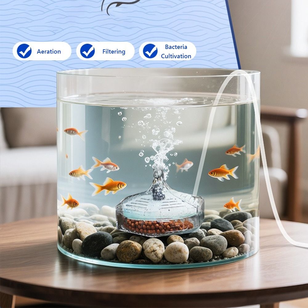 Aquarium Fish For Beginners - Yeni Taşınabilir Akvaryum Balık Tankı Filtresi