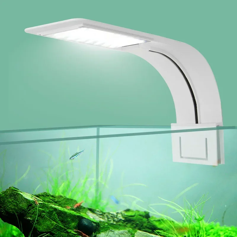 Fish In Aquarium Picture - Ultra Ince LED Akvaryum Işık 5