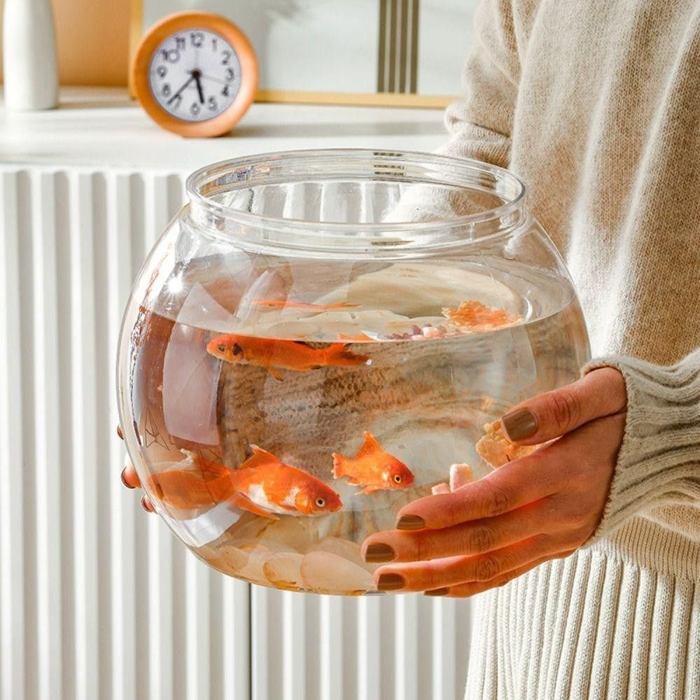 Aquarium Fish For Beginners - Yeni Şeffaf Balık Tankı Yuvarlak Kırılmaz