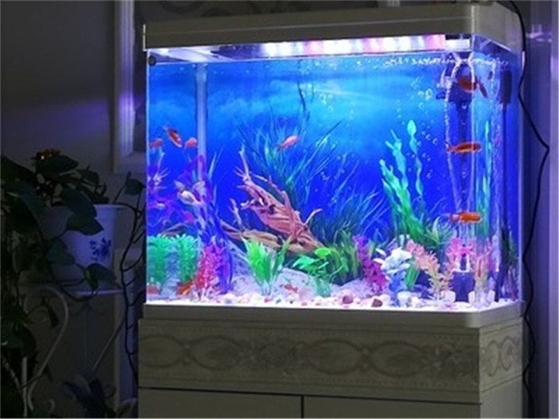 Fish In Aquarium Picture - 30CM 40CM Yüksek Parlak Çift Taraflı