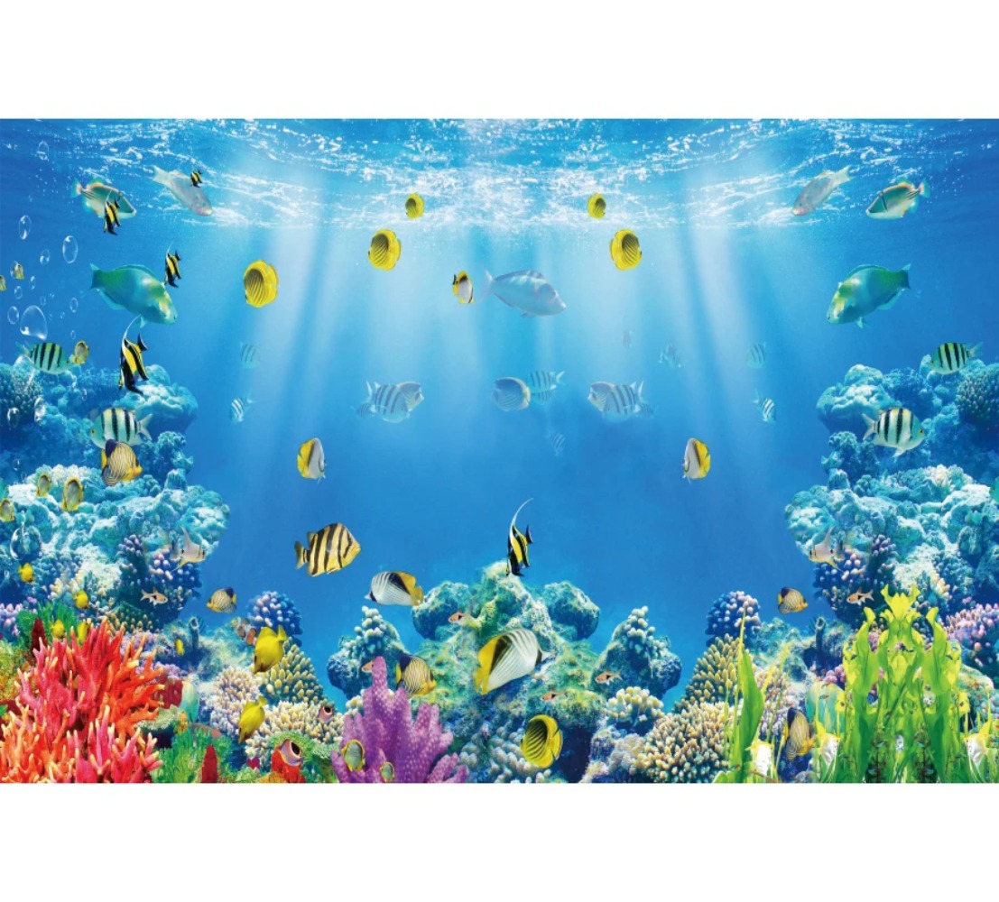 Sualtı Dünyası Balık Mercan Ak - Aquarium Fish Of The World incelemesi ve fiyatı