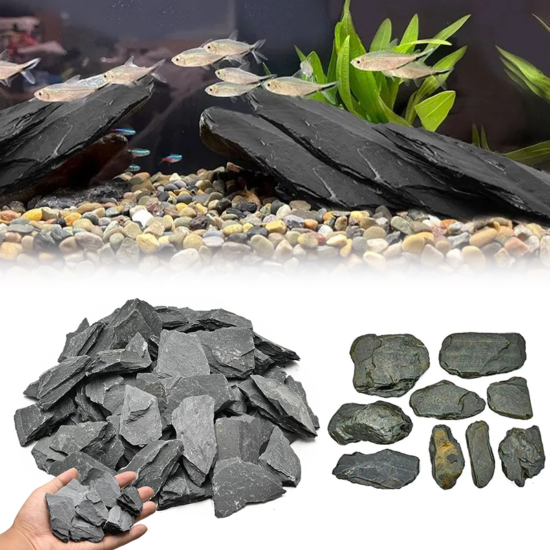 500/1000g Balık Tankı Peyzaj T - Aquarium Fish Guppy incelemesi ve fiyatı