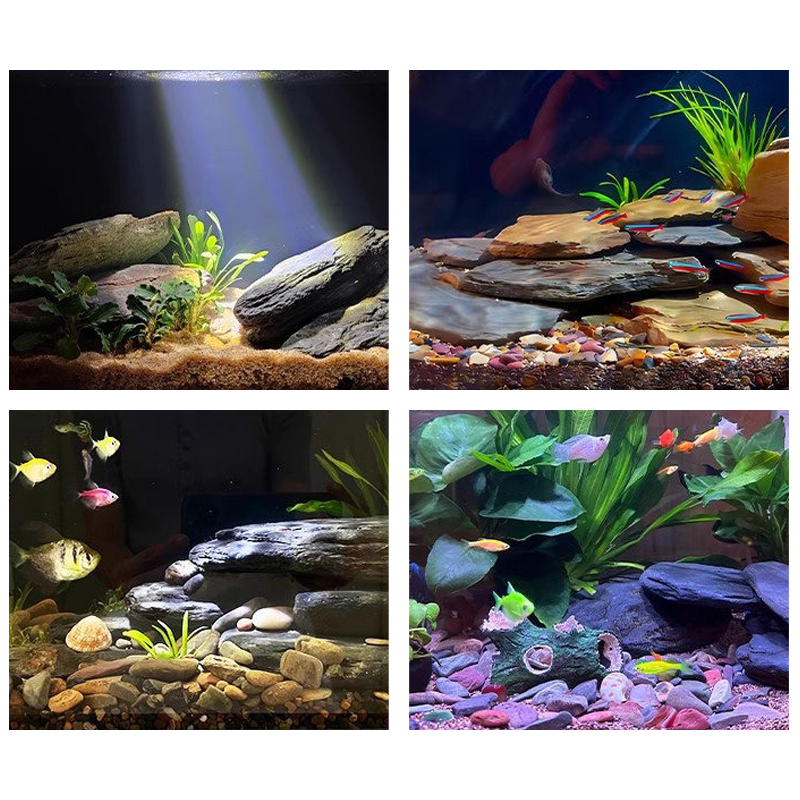 500/1000g Balık Tankı Peyzaj T - Aquarium Fish Guppy incelemesi ve fiyatı