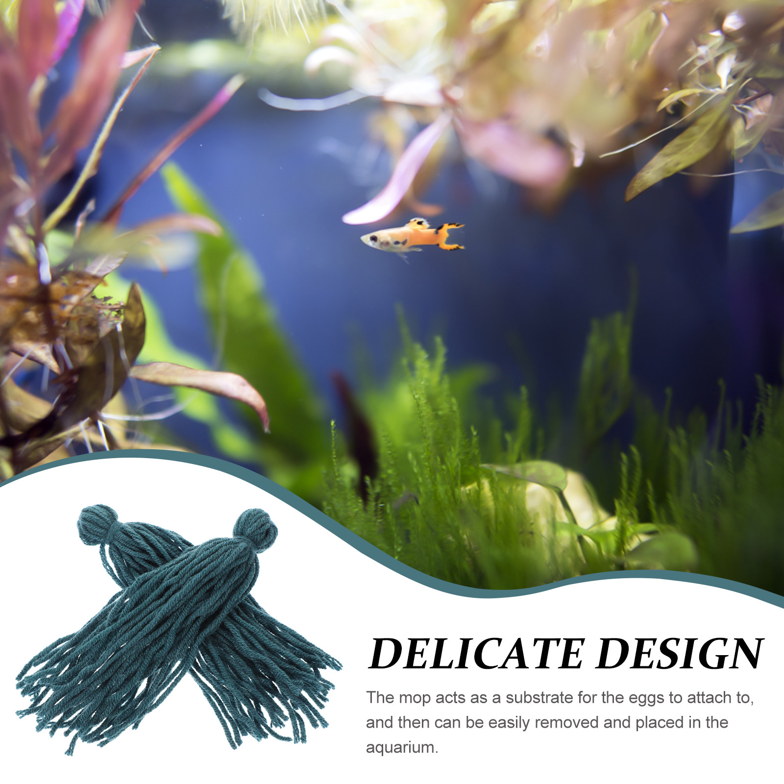 5 adet balık yetiştiriciliği p - Aquarium Fish Reproduction incelemesi ve fiyatı