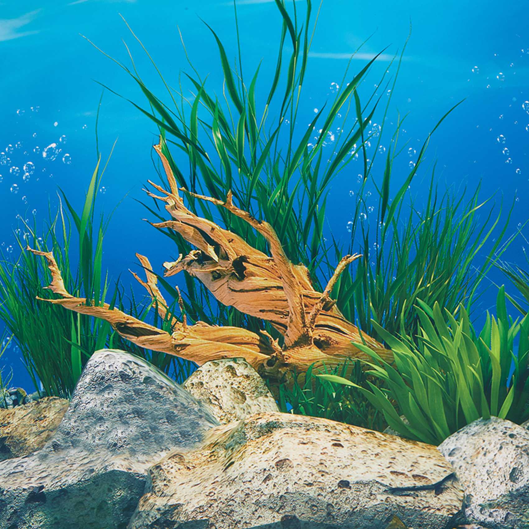 ABWR-Akvaryum Arka Plan Kağıdı - Fish In Aquarium Picture incelemesi ve fiyatı