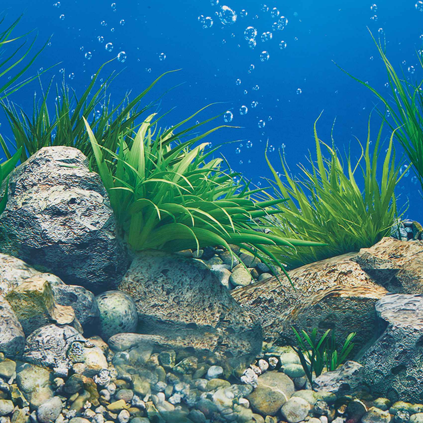 ABWR-Akvaryum Arka Plan Kağıdı - Fish In Aquarium Picture incelemesi ve fiyatı