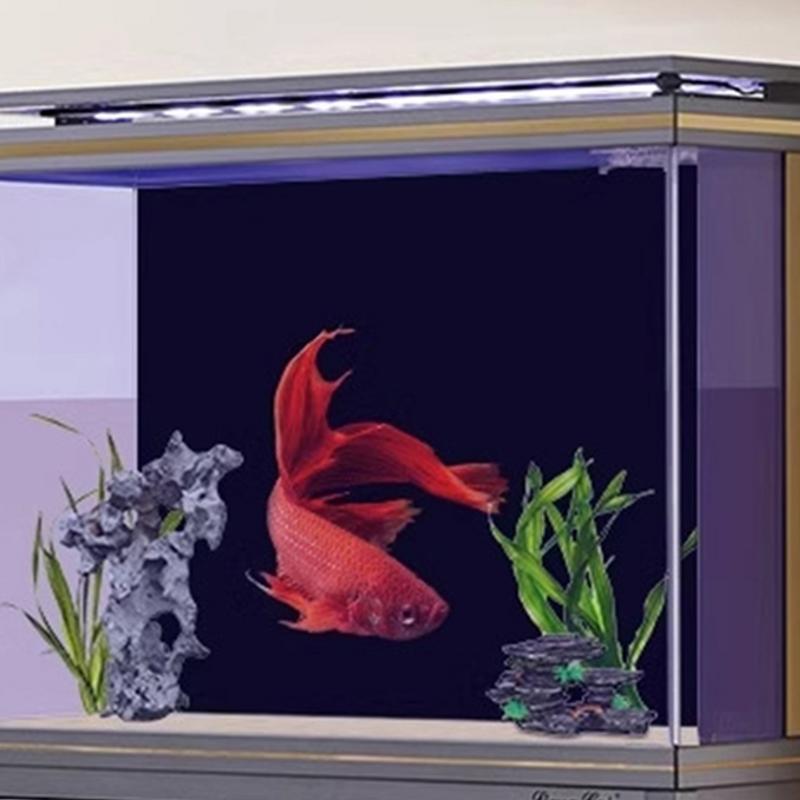 Siyah akvaryum arka plan duvar - Fish In Aquarium Picture incelemesi ve fiyatı