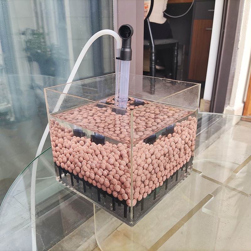 Şeffaf Akrilik Karides Balık T - Aquarium Fish Reproduction incelemesi ve fiyatı
