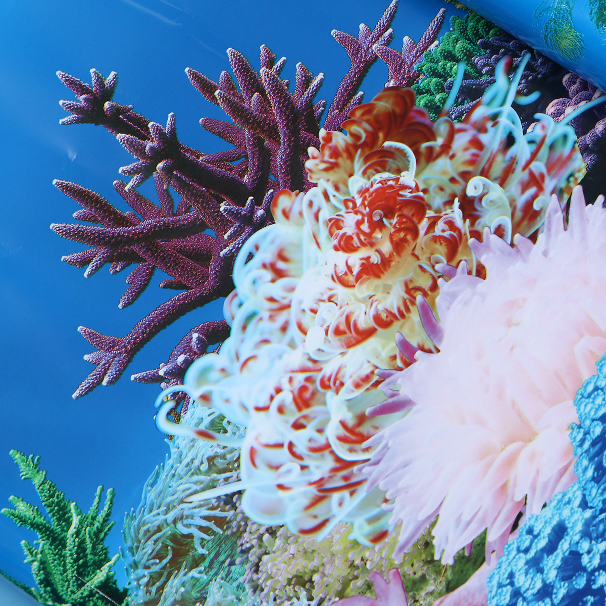 Akvaryumlar için 3 Boyutlu Duv - Fish In Aquarium Picture incelemesi ve fiyatı