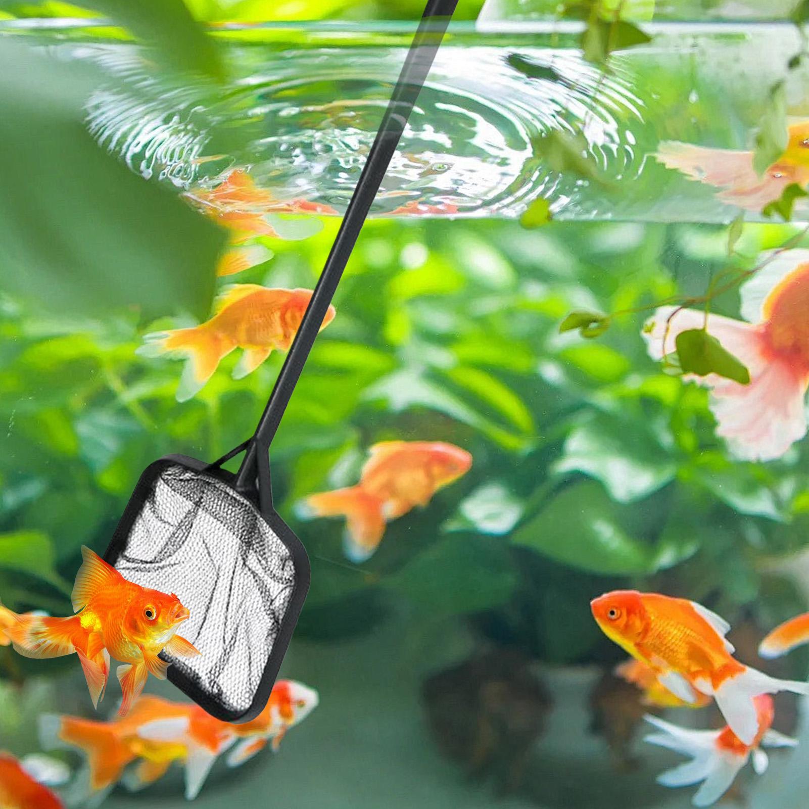 Havuz Temizleme Ağları Taşınab - Cleaner Fish Aquarium incelemesi ve fiyatı