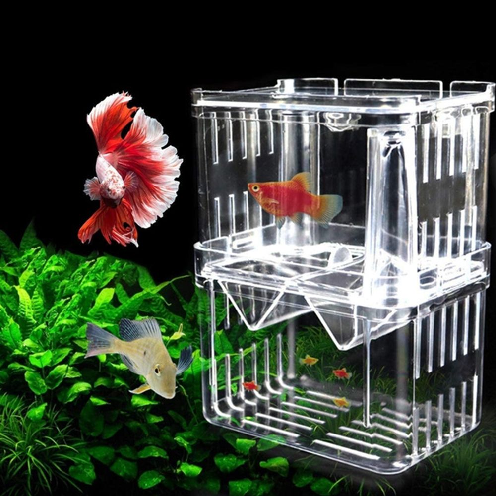 Bebek Balıklar İçin Tank Akvar - Aquarium Fish Reproduction incelemesi ve fiyatı