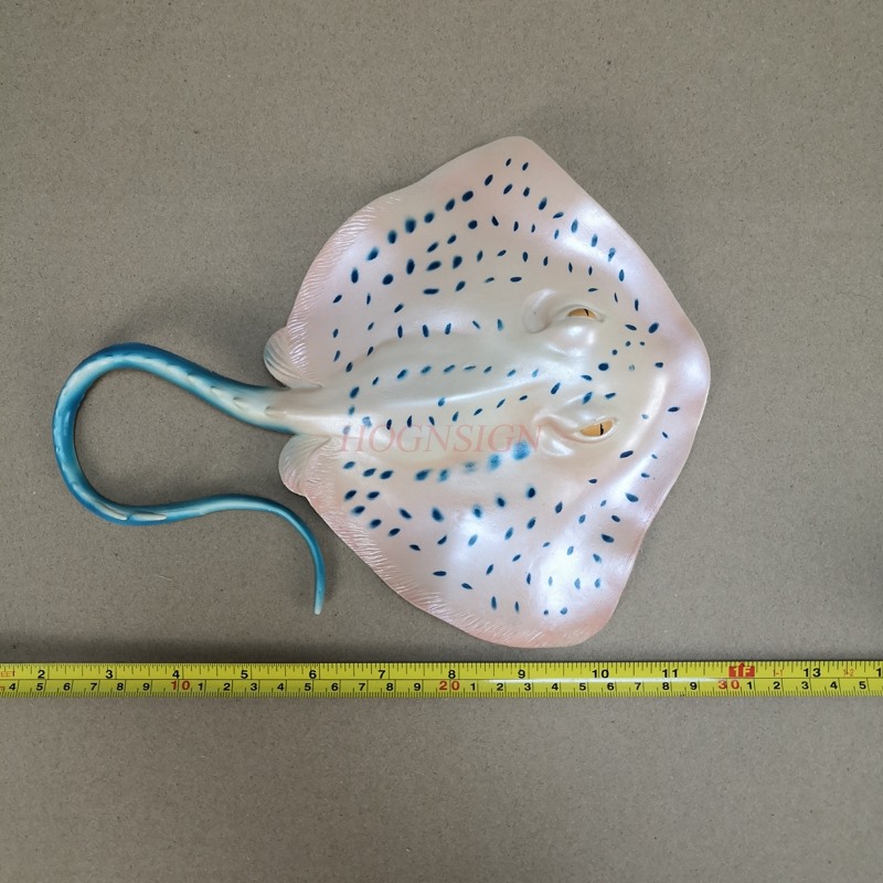 Akvaryum Hayvan Modeli Oyuncak - Aquarium Fish Market incelemesi ve fiyatı
