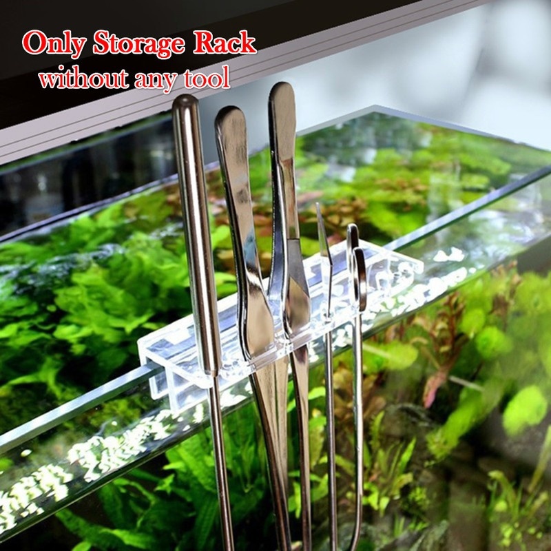 1 adet yeni akvaryum bitki ara - Aquarium Fish For Beginners incelemesi ve fiyatı