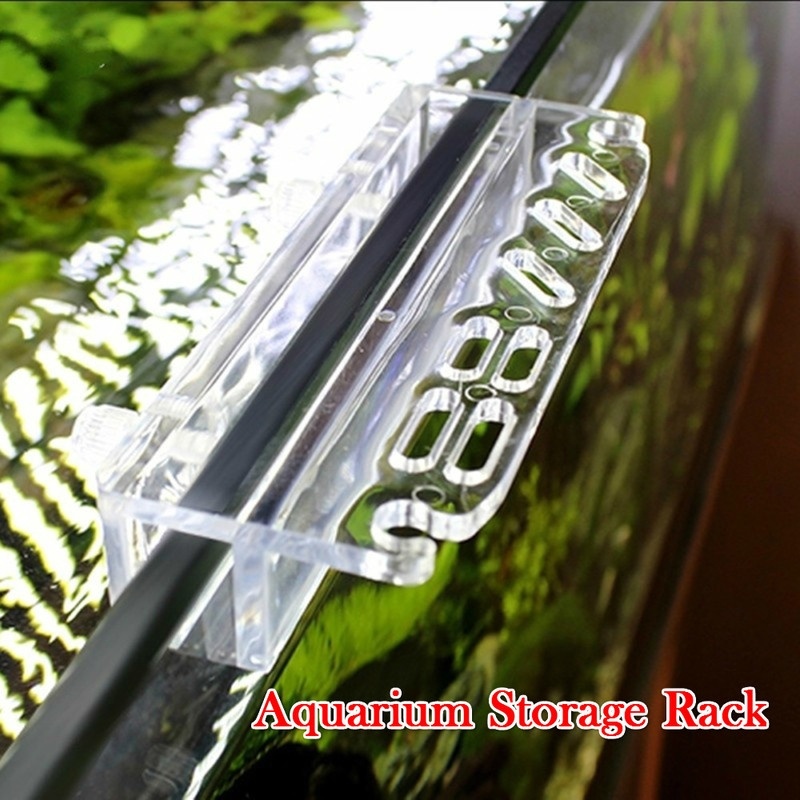 1 adet yeni akvaryum bitki ara - Aquarium Fish For Beginners incelemesi ve fiyatı
