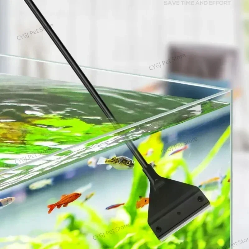Balık Tankı Temizleme Aracı Dü - Cleaner Fish Aquarium incelemesi ve fiyatı