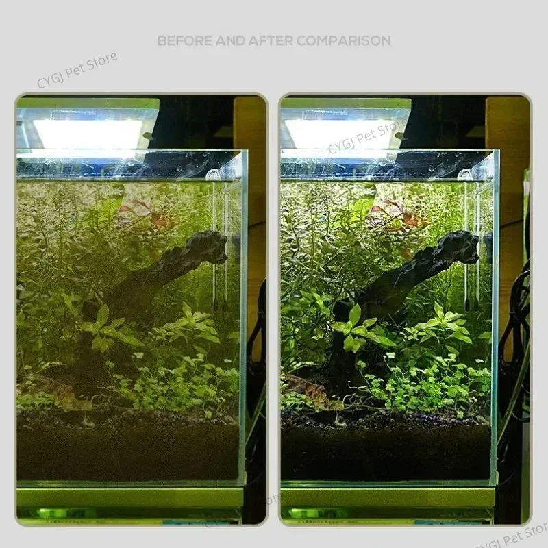 Balık Tankı Temizleme Aracı Dü - Cleaner Fish Aquarium incelemesi ve fiyatı
