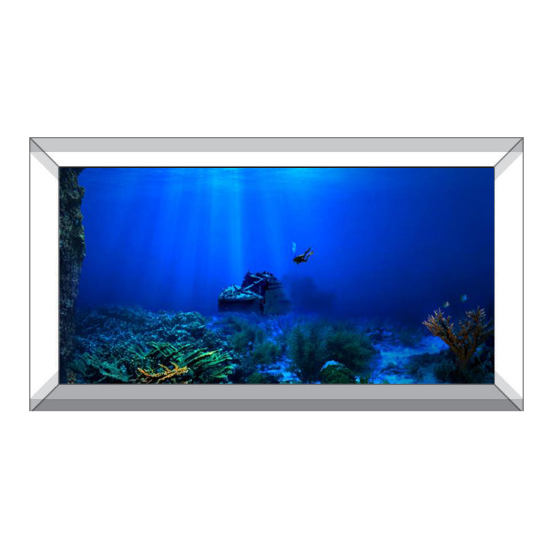 Balık tankı arka plan dekorati - Aquarium Fish Of The World incelemesi ve fiyatı