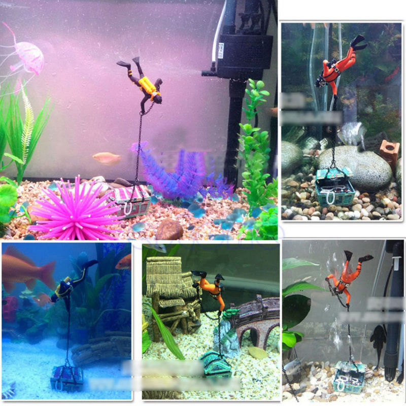 Hazine Dalgıçları Akvaryum Süs - Aquarium Fish Of The World incelemesi ve fiyatı