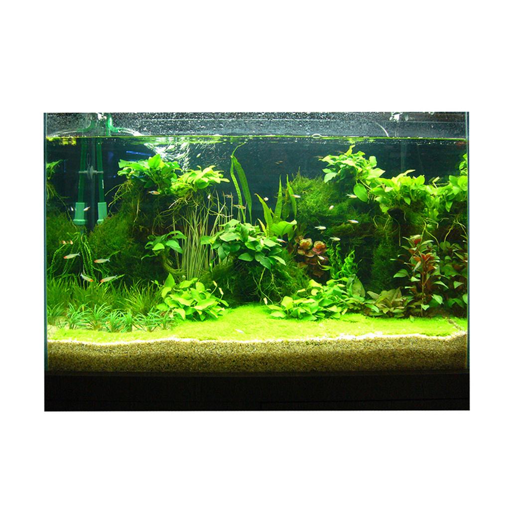Balık Tankı 3D Arka Plan Çıkar - Fish In Aquarium Picture incelemesi ve fiyatı
