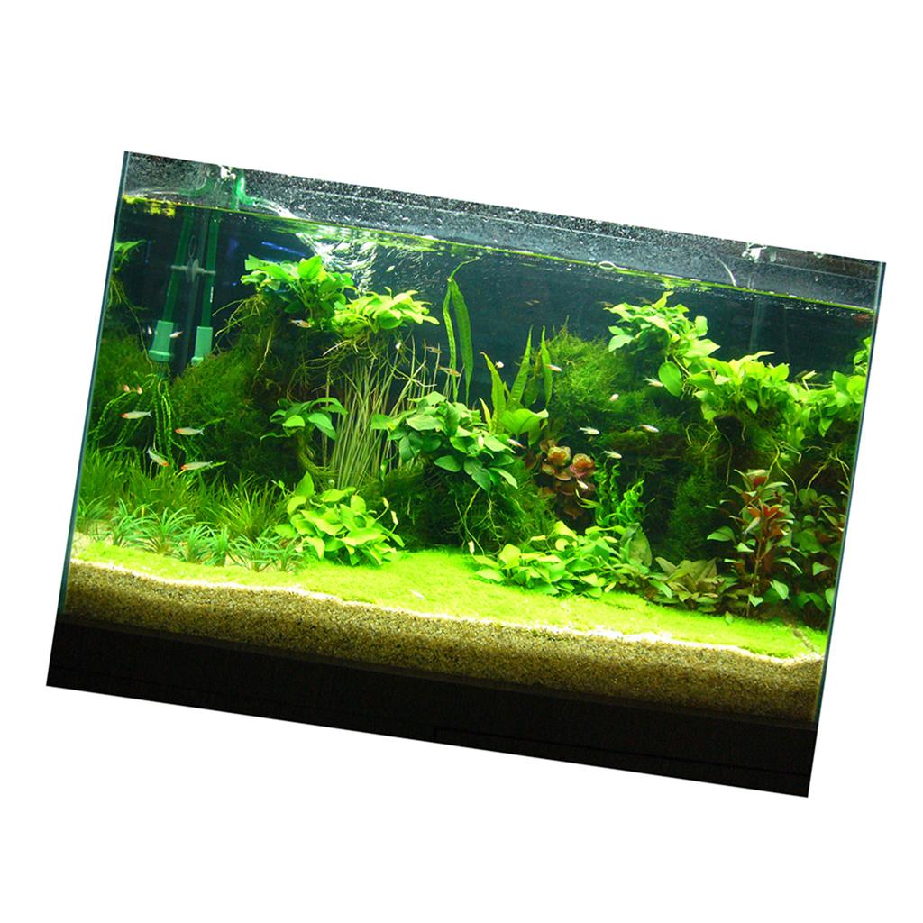 Balık Tankı 3D Arka Plan Çıkar - Fish In Aquarium Picture incelemesi ve fiyatı