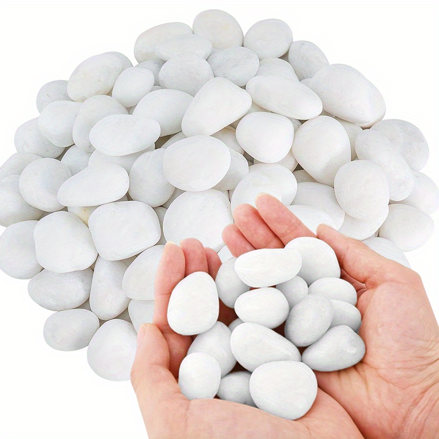 200/400g Beyaz Yüksek Parlaklı - Aquarium Fish Guppy incelemesi ve fiyatı