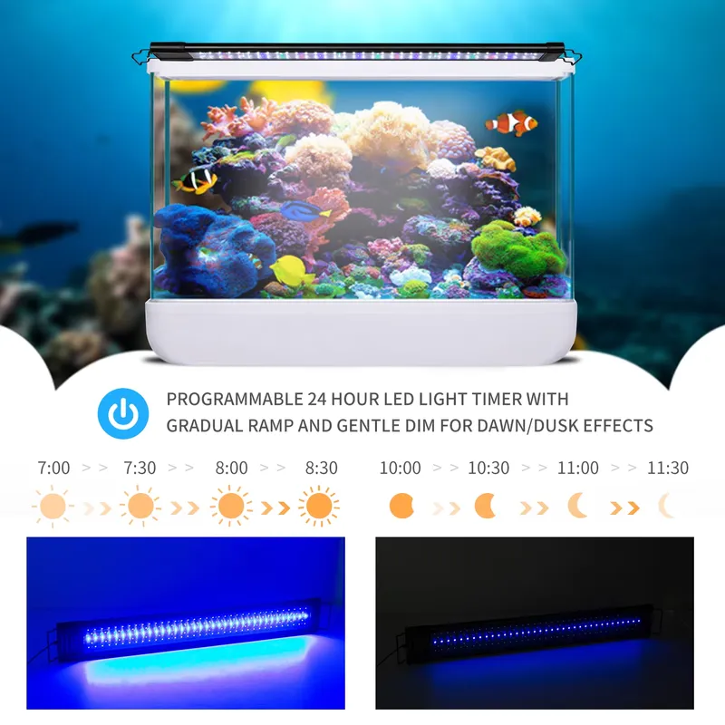 75cm Akvaryumlar İçin LED Prog - Aquarium Led Light incelemesi ve fiyatı