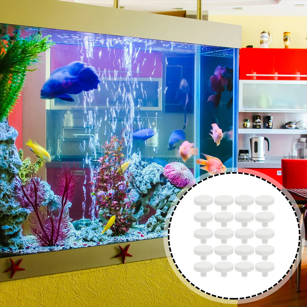 20 adet Mercan Tutkal Resif Gü - Aquarium Fish Reproduction incelemesi ve fiyatı