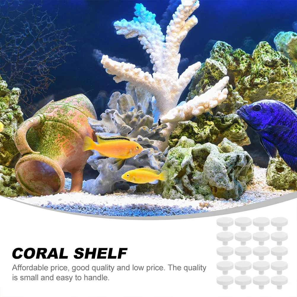 20 adet Mercan Tutkal Resif Gü - Aquarium Fish Reproduction incelemesi ve fiyatı