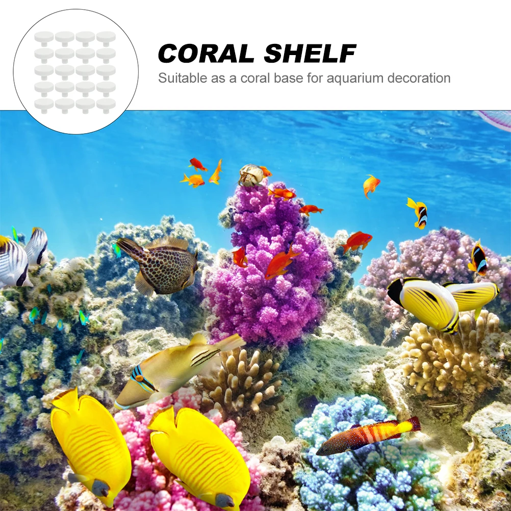 20 adet Mercan Tutkal Resif Gü - Aquarium Fish Reproduction incelemesi ve fiyatı