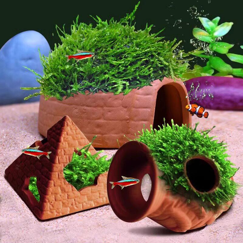   Balık ve Karides Üreme Evi i - Aquarium Fish Reproduction incelemesi ve fiyatı