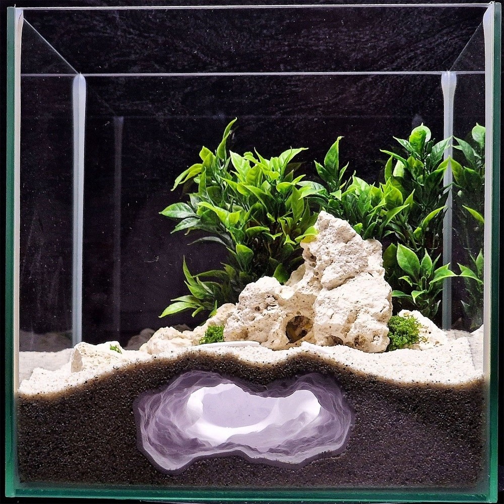 Yüksek Derecede Simüle Edilmiş - Aquarium Fish Reproduction incelemesi ve fiyatı