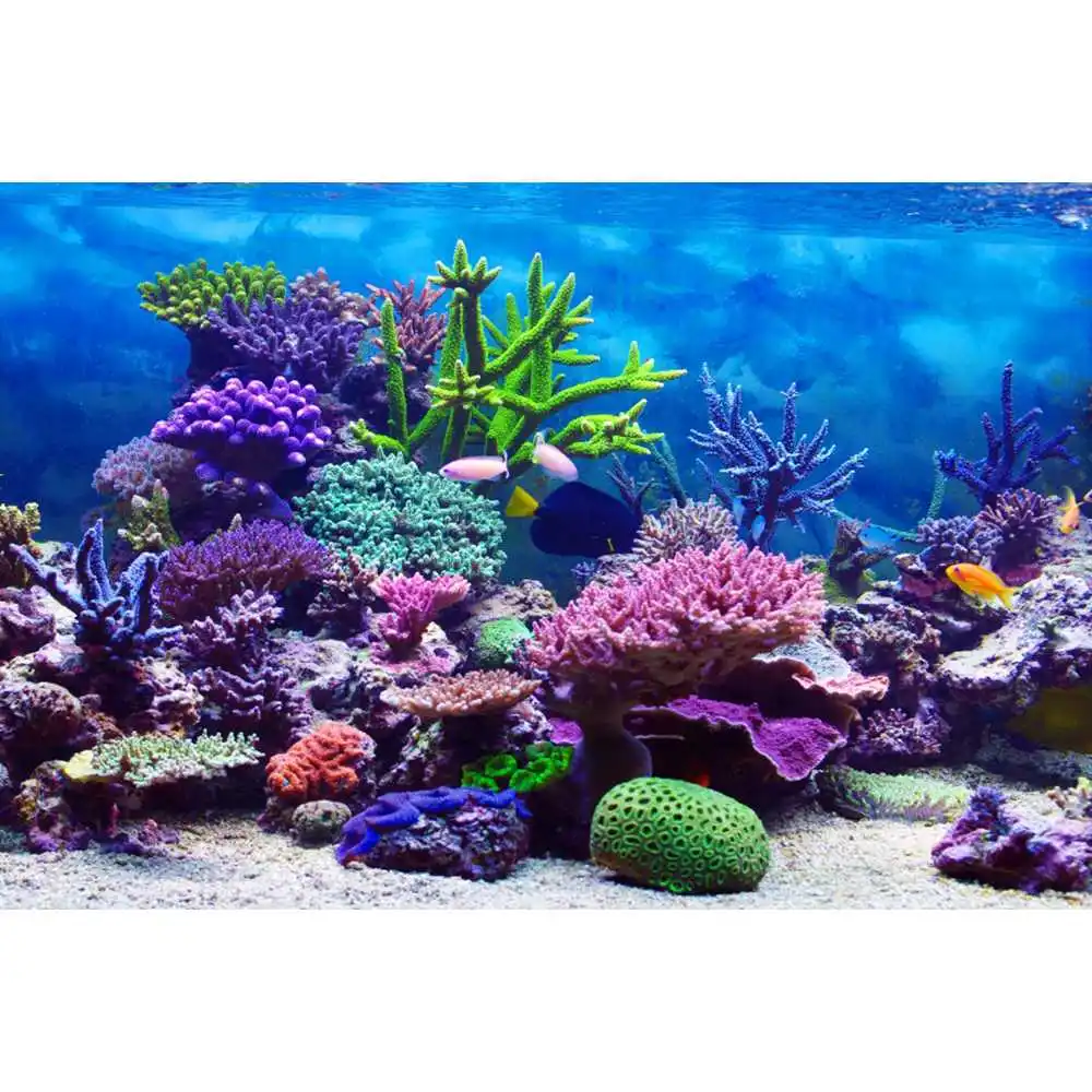 Sualtı Dünyası Deniz Dibi Fonu - Aquarium Fish Of The World incelemesi ve fiyatı