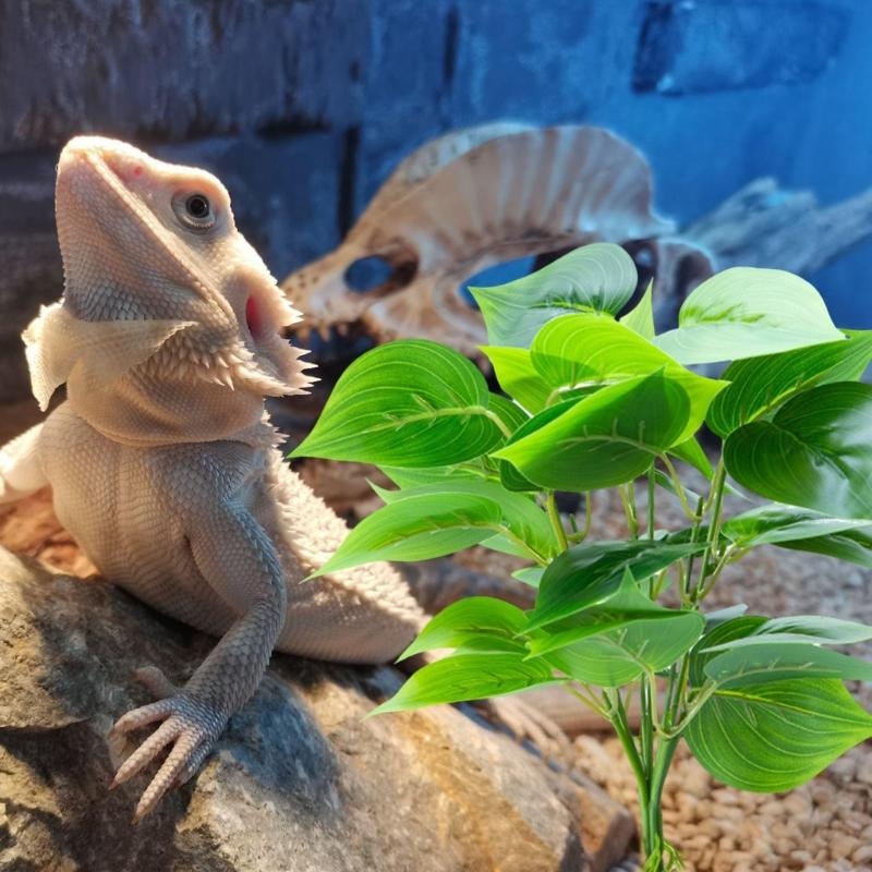 Yapay Asma Bitki Balık Akvaryu - Aquarium Fish Artificial incelemesi ve fiyatı