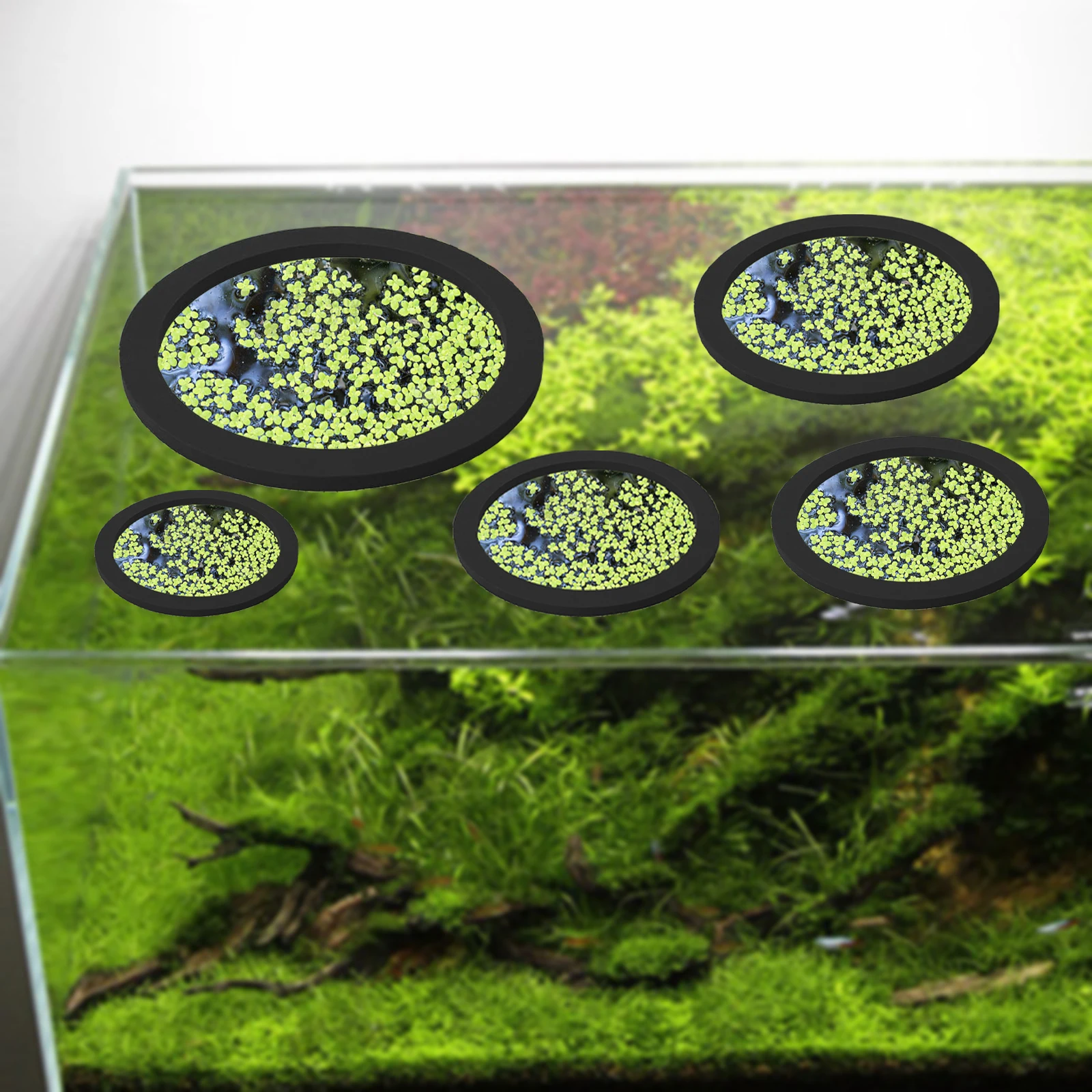 5 adet EVA balık besleme halka - Aquarium Fish Pond incelemesi ve fiyatı