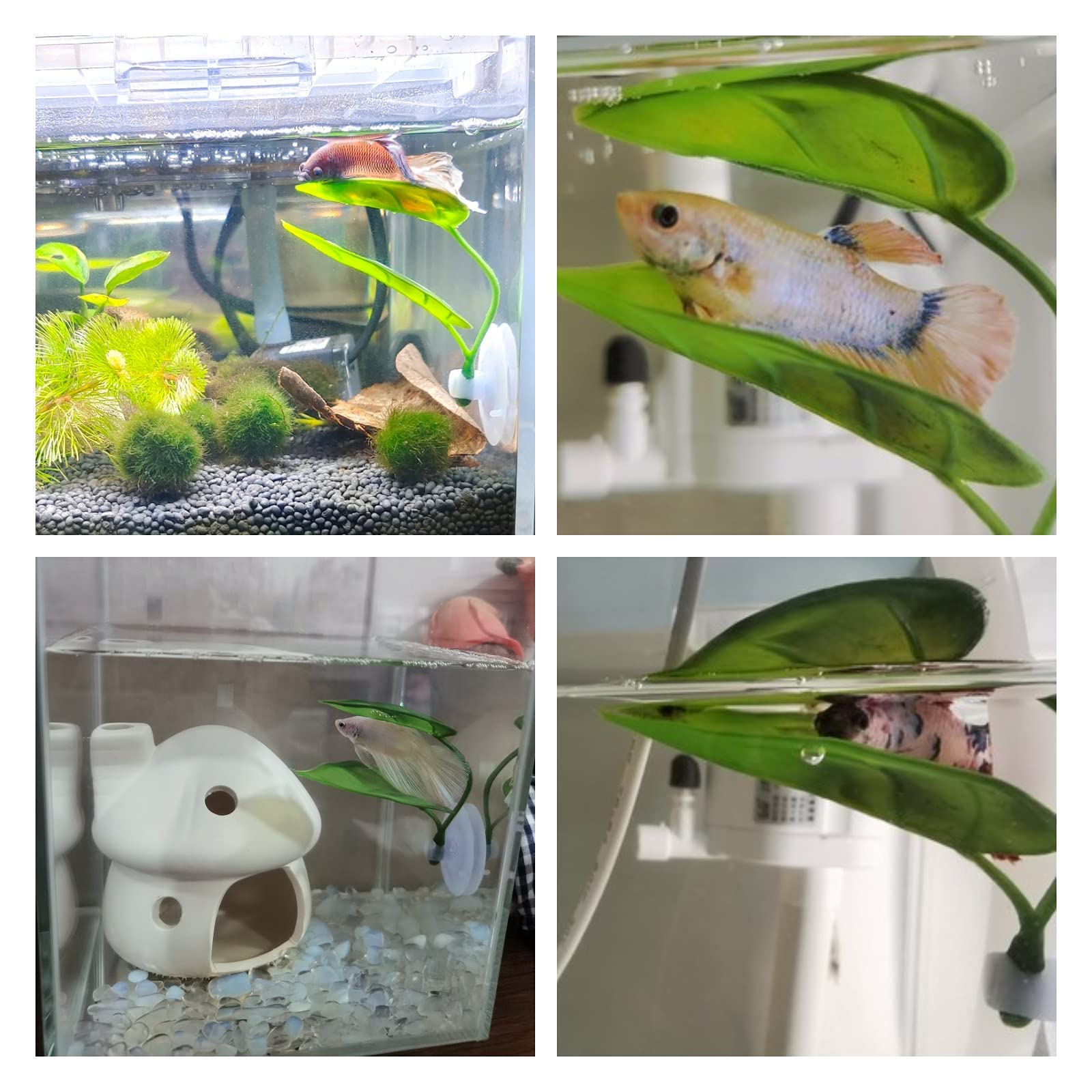Evcil Hayvanlar İçin Akvaryum  - Aquarium Fish Artificial incelemesi ve fiyatı