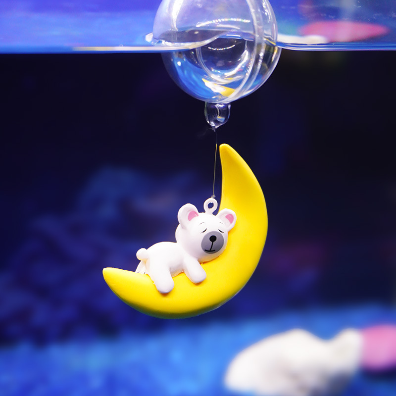 Akvaryum Severler Ay Ayı Dalgı - Aquarium Fish Of The World incelemesi ve fiyatı
