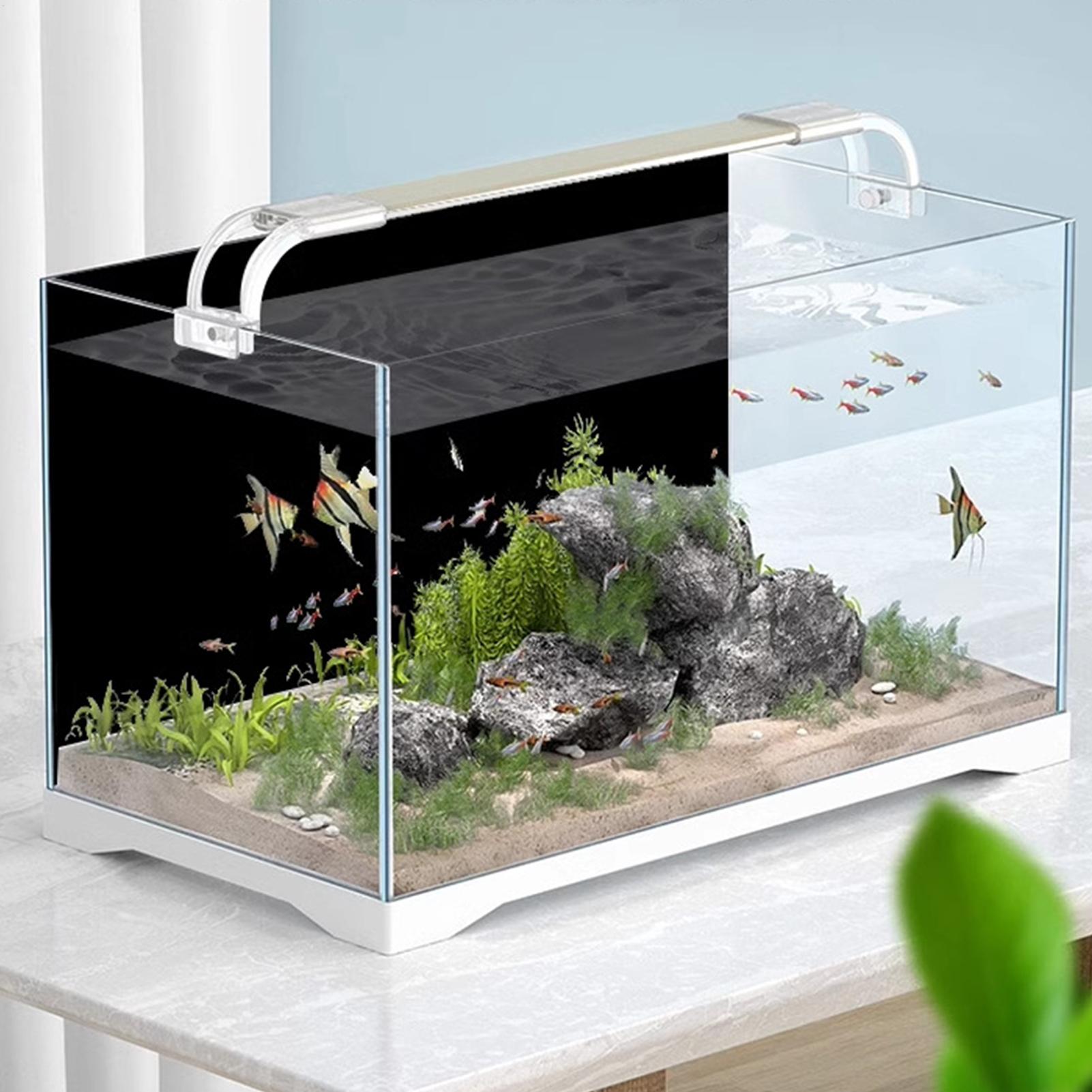 Siyah Akvaryum Arka Plan Resmi - Fish In Aquarium Picture incelemesi ve fiyatı
