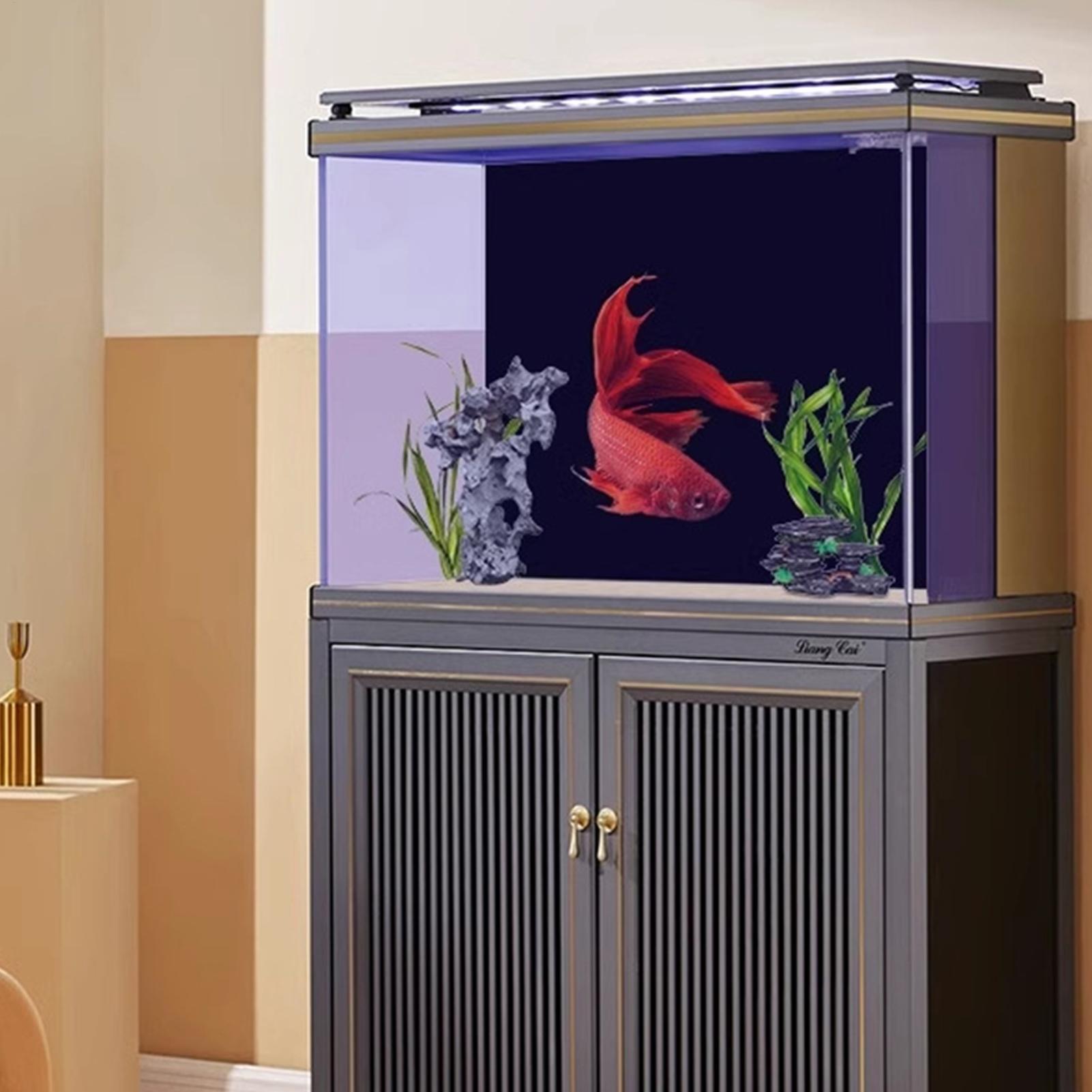 Siyah Akvaryum Arka Plan Resmi - Fish In Aquarium Picture incelemesi ve fiyatı