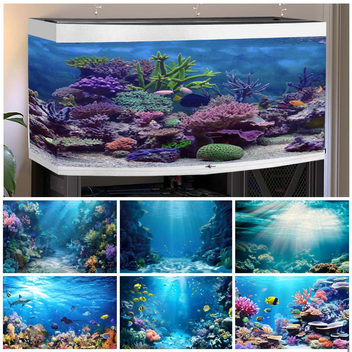 Sualtı Dünyası Fotoğraflar içi - Aquarium Fish Of The World incelemesi ve fiyatı
