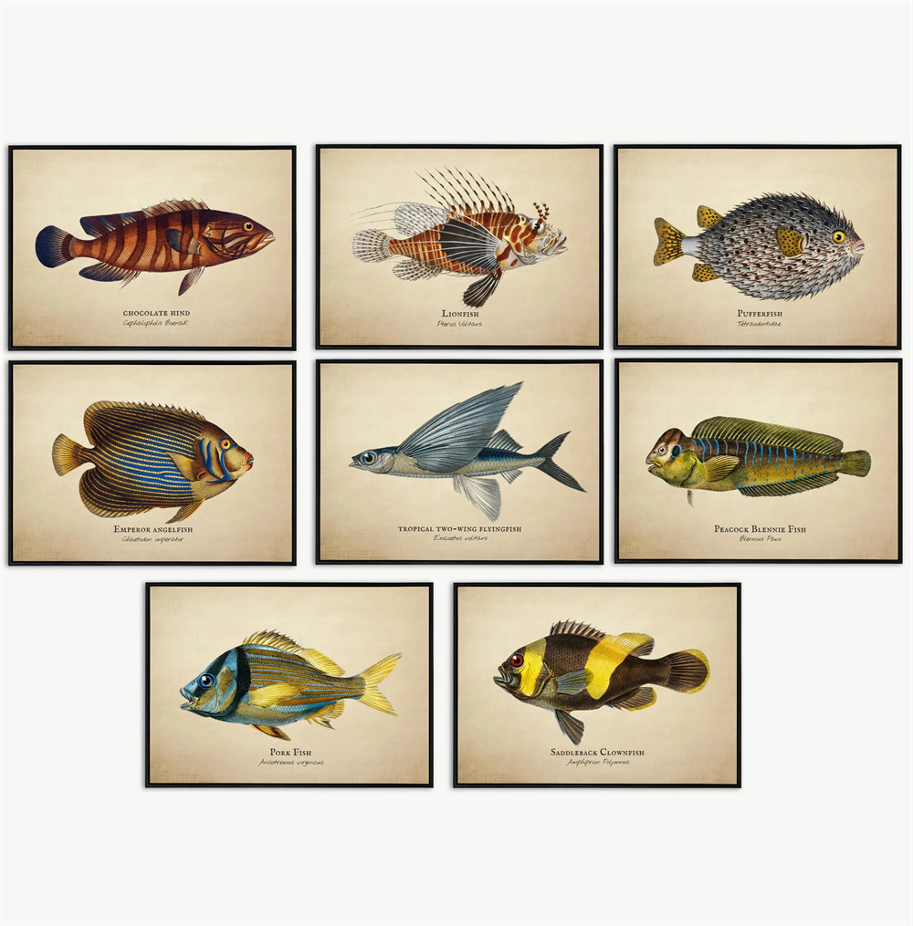 Vintage Resimler Tropikal Balı - Fish In Aquarium Picture incelemesi ve fiyatı