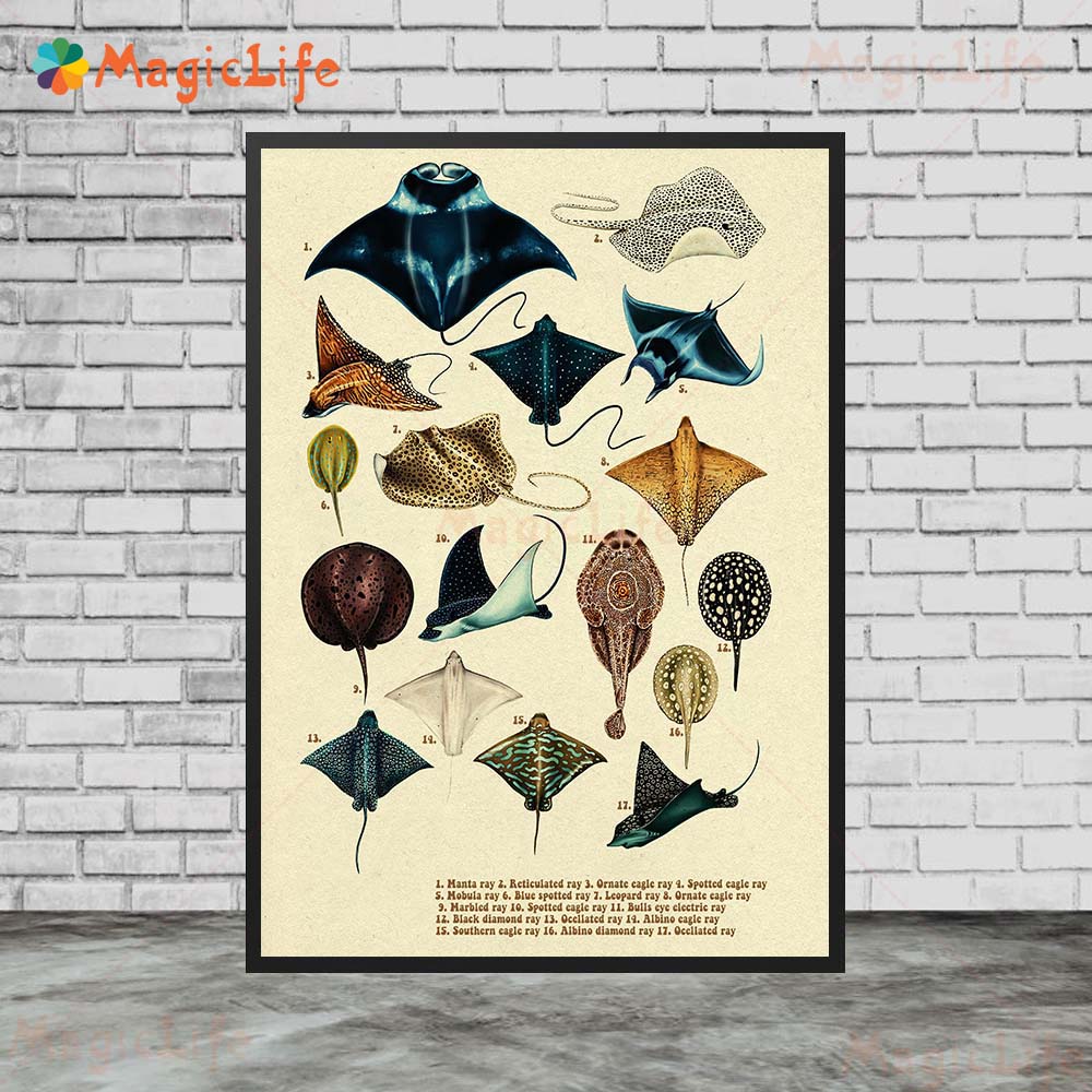 Vintage deniz balığı kaplumbağ - Fish In Aquarium Picture incelemesi ve fiyatı