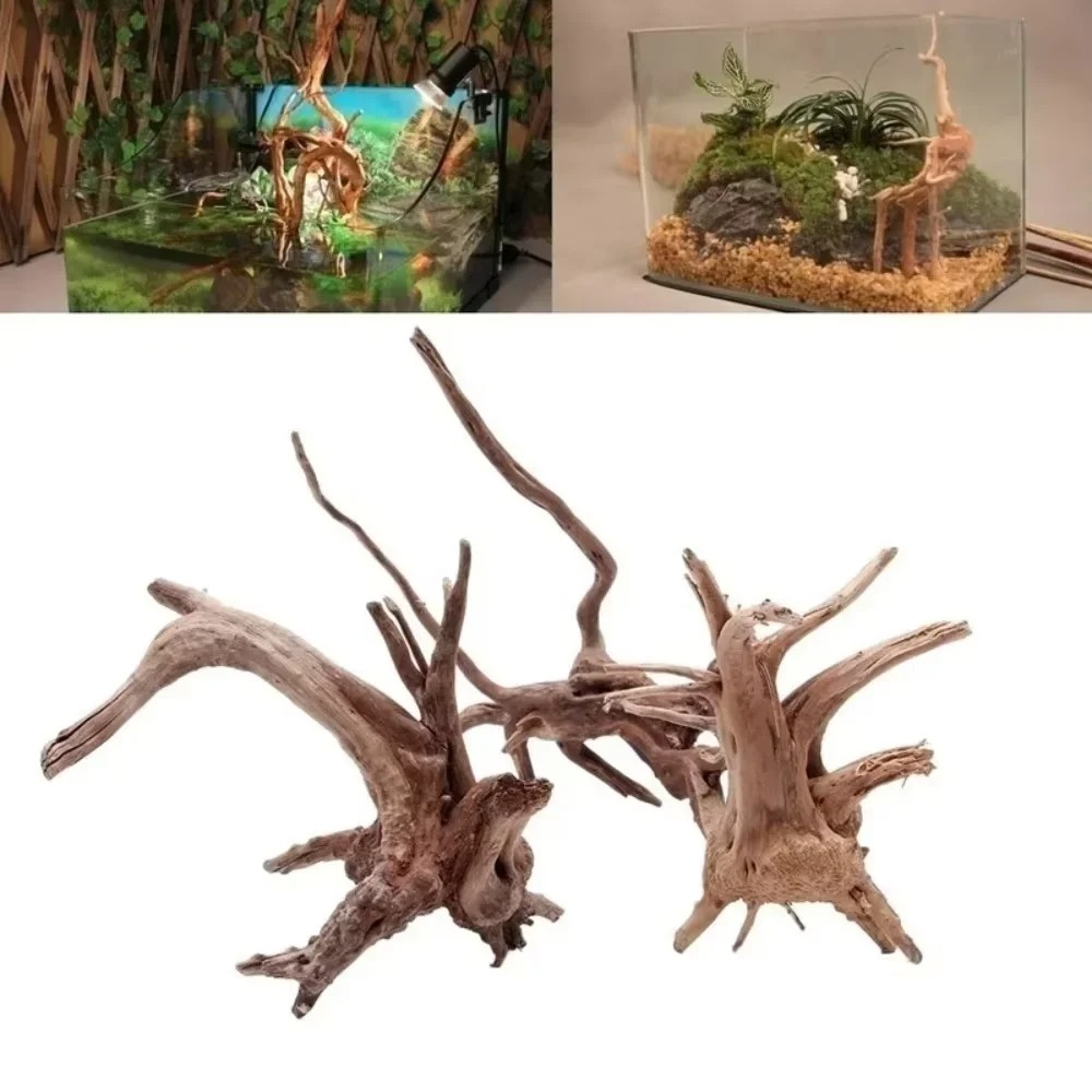 15-20CM Doğal Kök Ağacı Akvary - Aquarium Fish Guppy incelemesi ve fiyatı