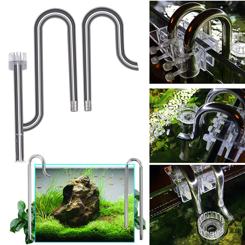 Yeni balık tankı zambak boru p - Aquarium Fish For Beginners incelemesi ve fiyatı